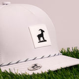 All-White