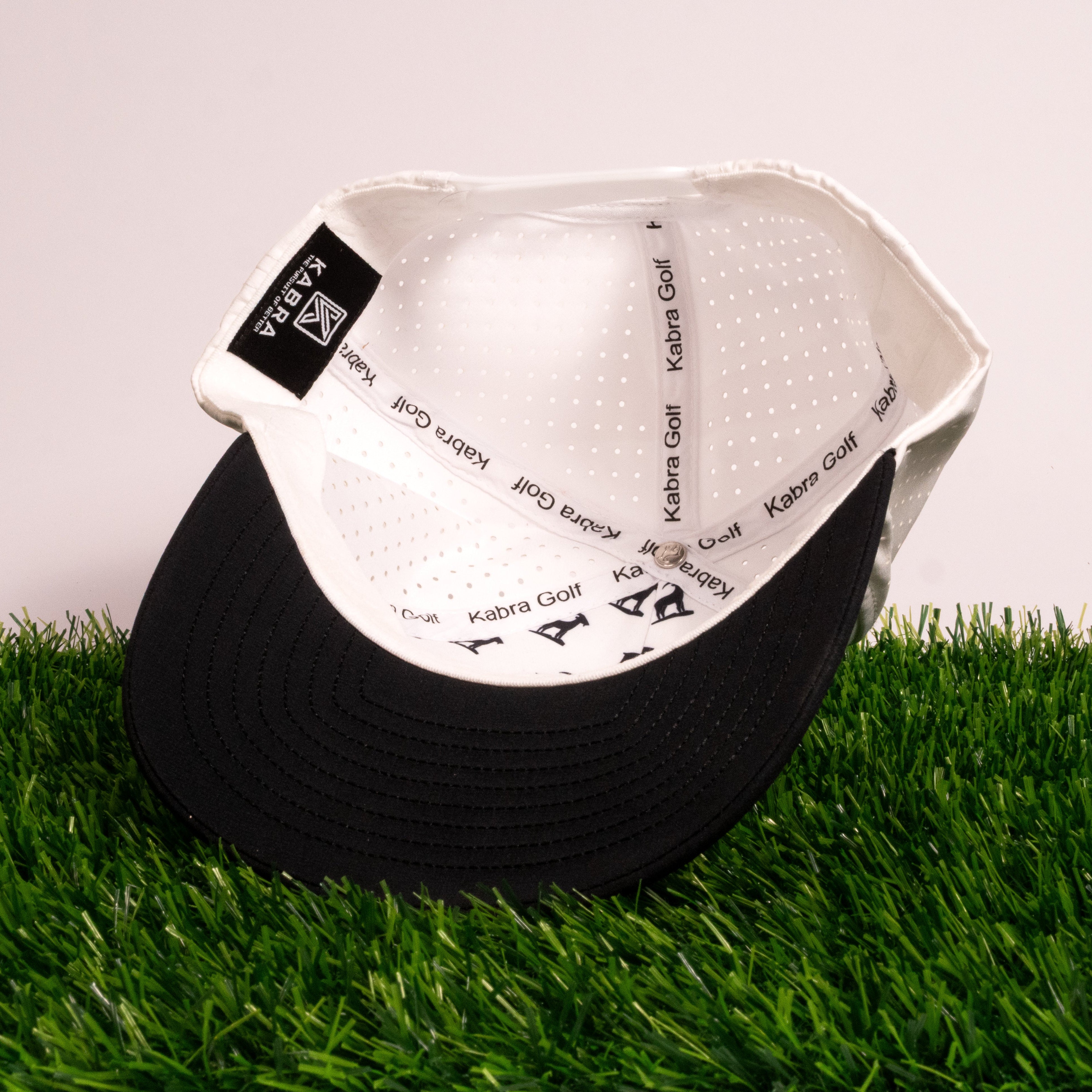 White/Black